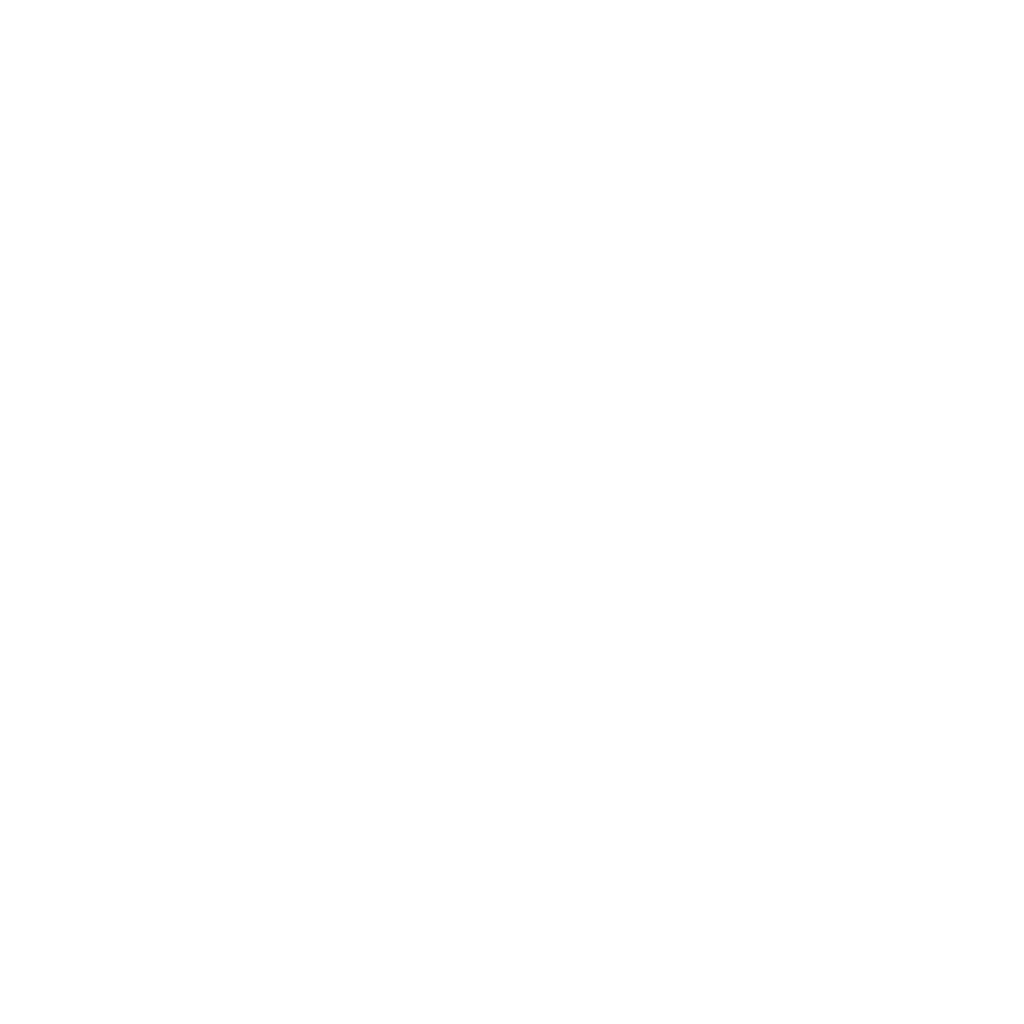 Steam